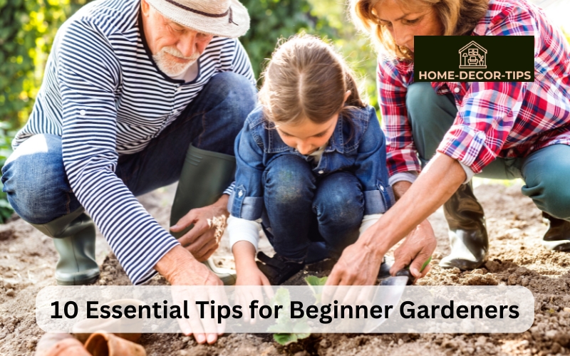 10 Essential Tips for Beginner Gardeners: Getting Started with Your First Garden