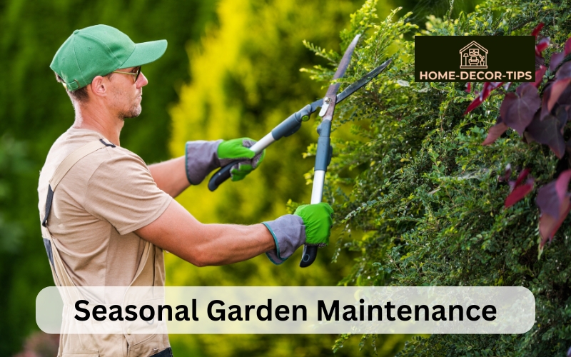 Seasonal Garden Maintenance: A Year-Round Guide to Keeping Your Garden Healthy and Thriving