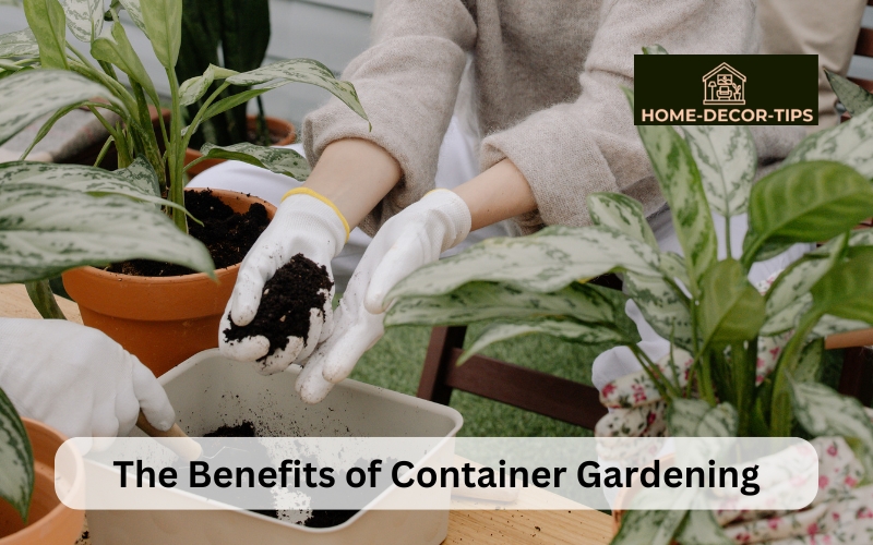 The Benefits of Container Gardening: How to Grow a Beautiful Garden in Small Spaces